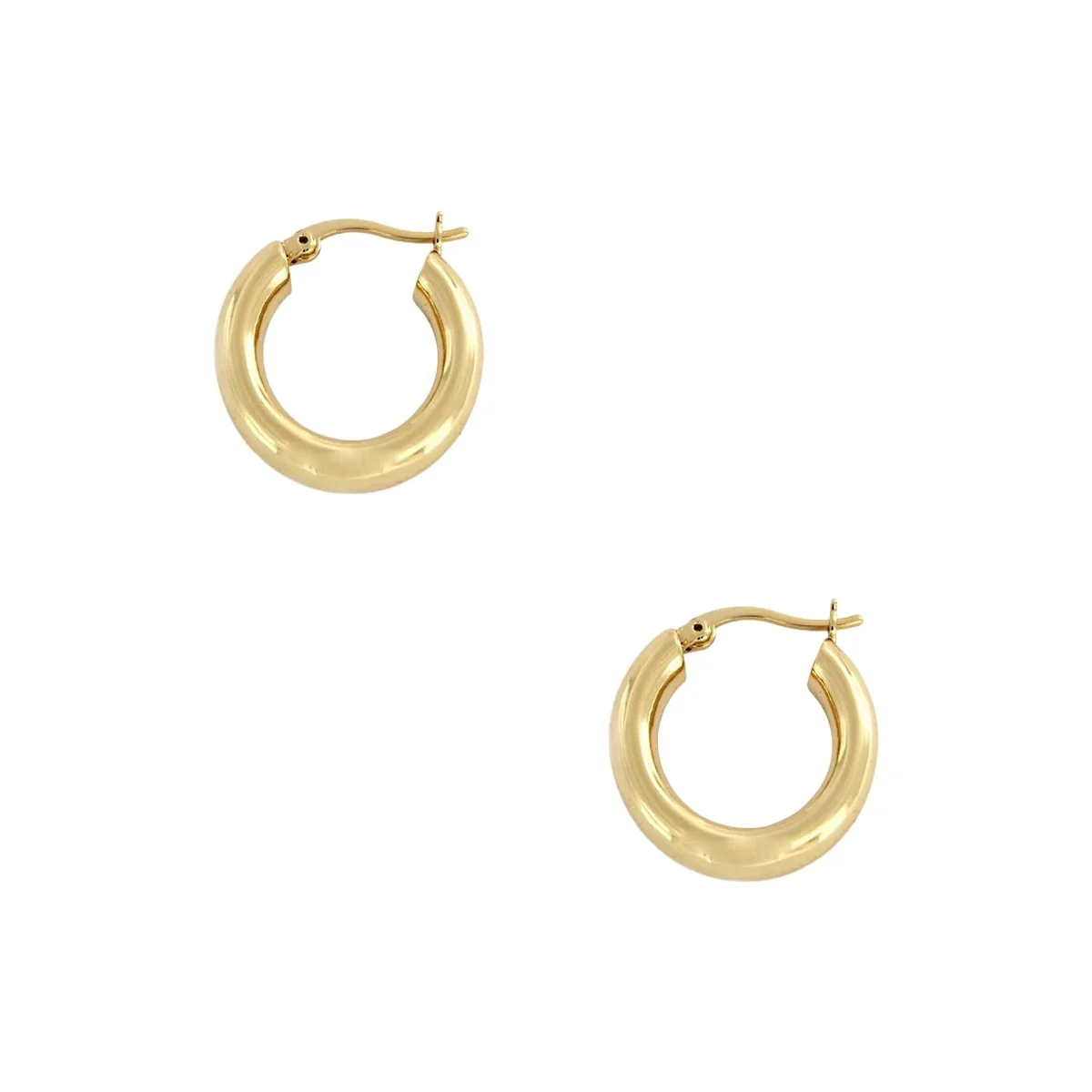Small Thick Hoop Earrings